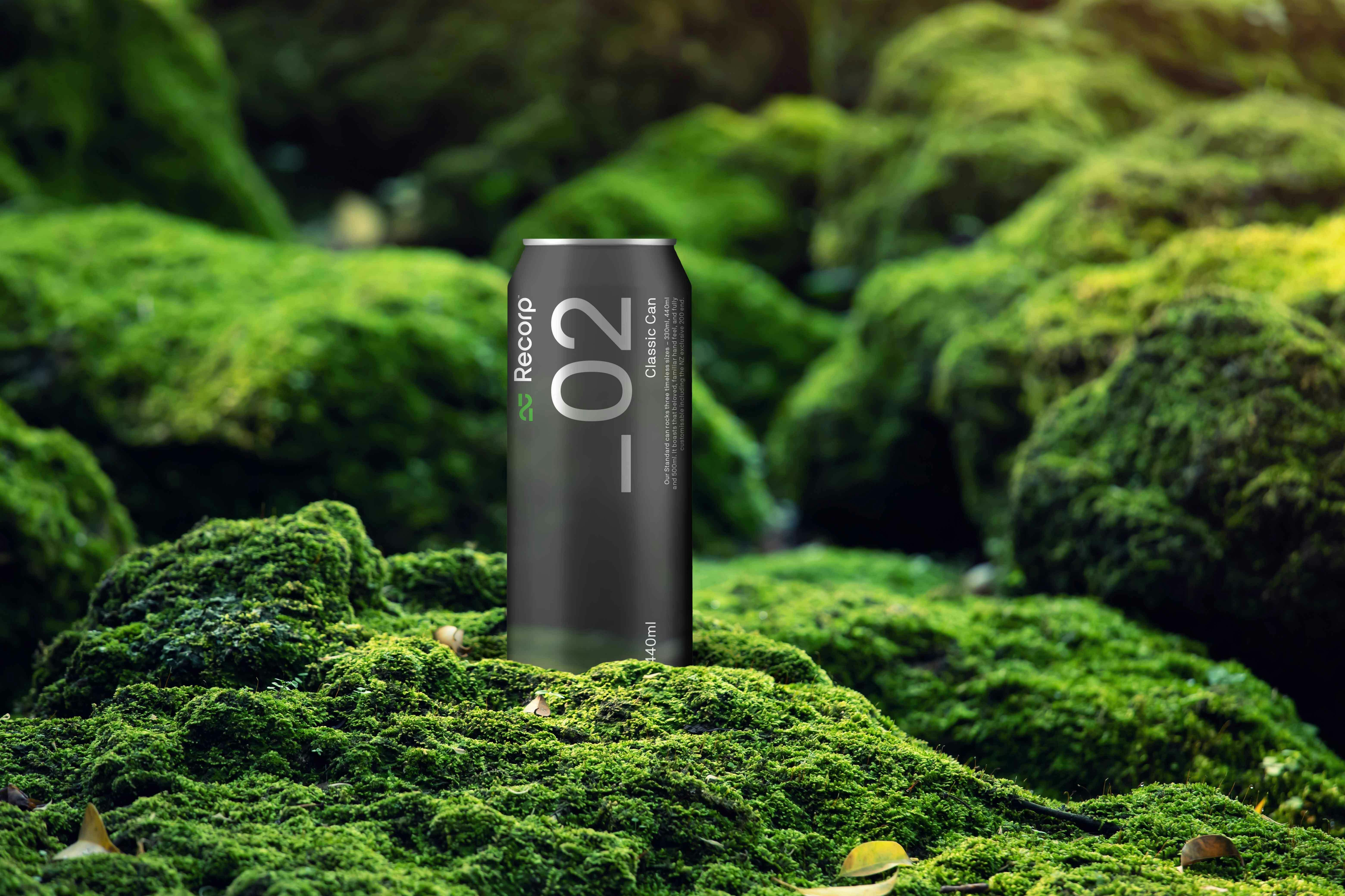 02 Classic in Nature 1 smaller