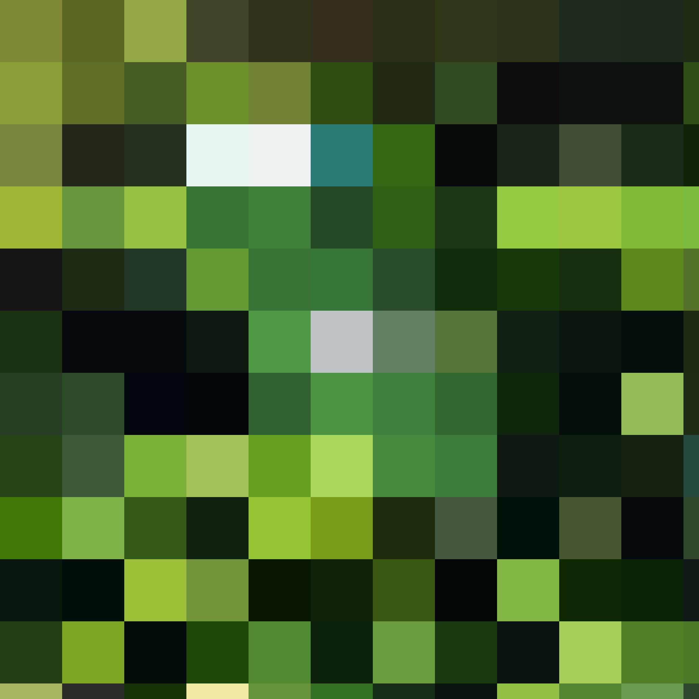 Asset 1 1x1 Recan
