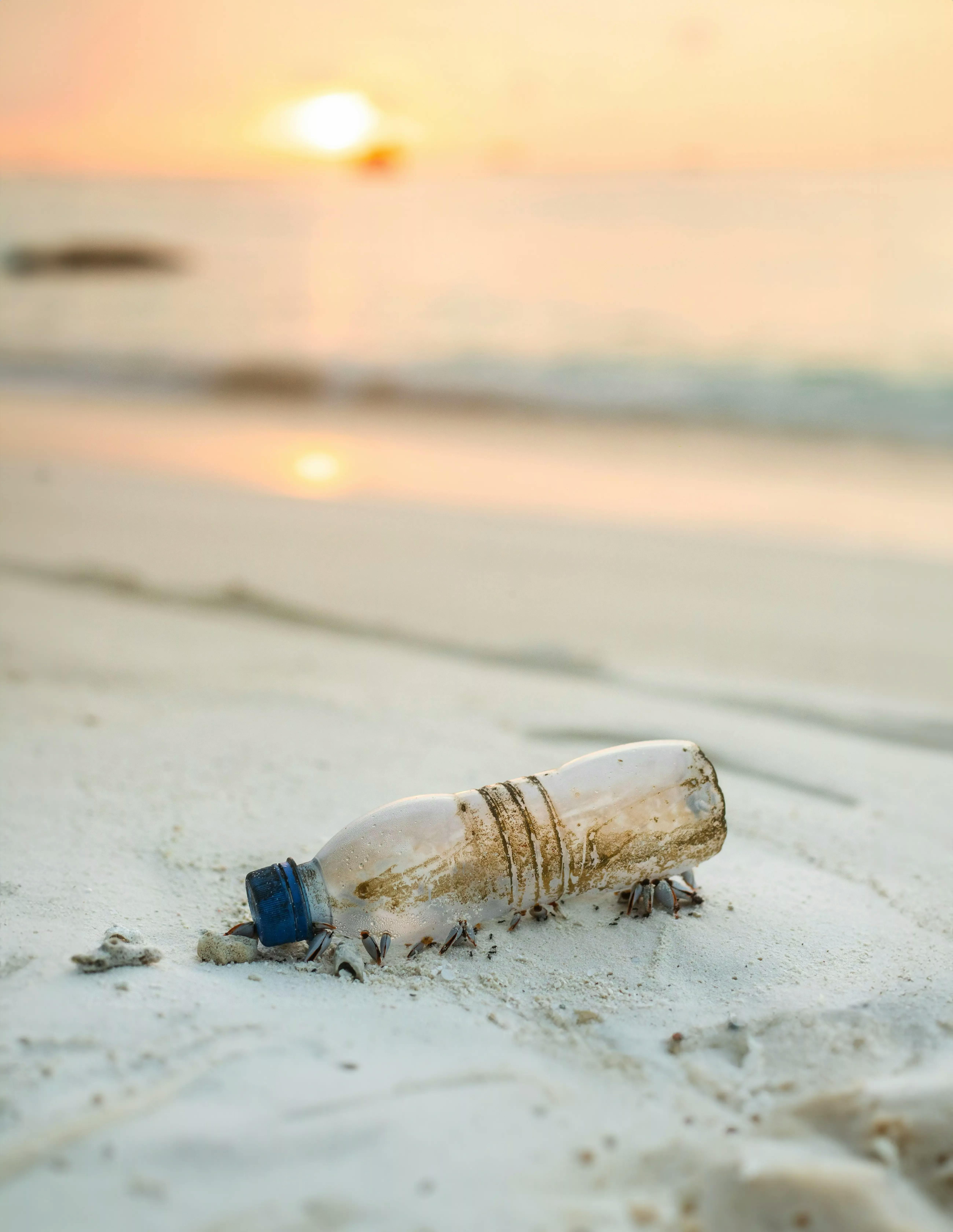 Ishan seefromthesky 4xmgr N Uby NA unsplash